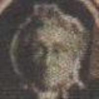 500126_605014e9r6epw1e65mj870