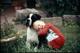 Photo0005