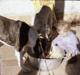 Photo0011
